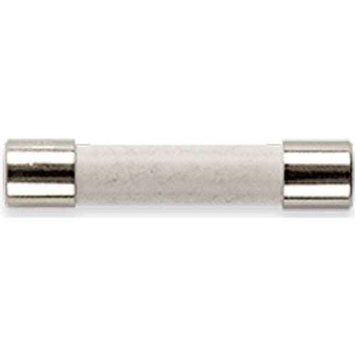 Gossen Metrawatt Z109P FF 0,315 A/1000 V Zekeringen 10 stuk(s)