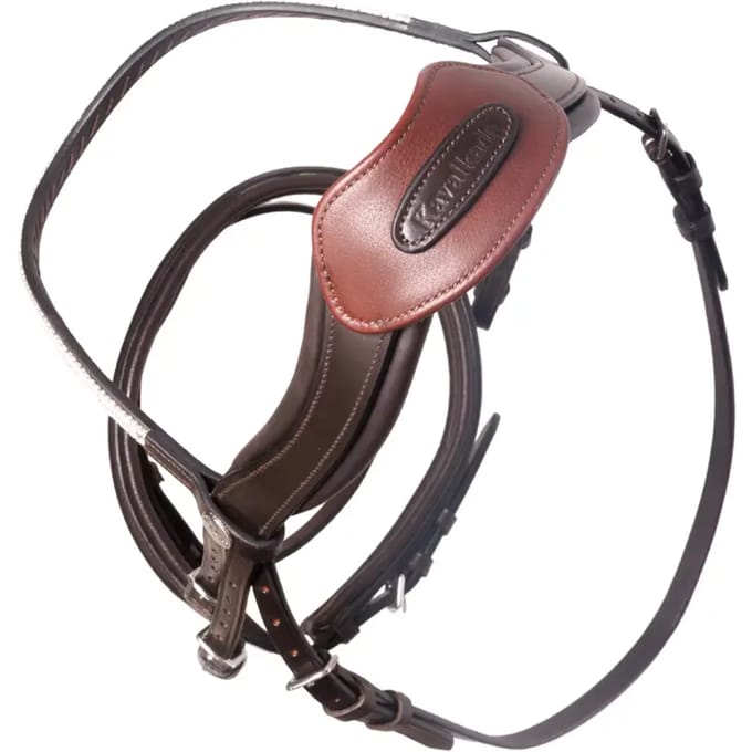 Open horse riding headset with bridge Kavalkade Cre8 Malou