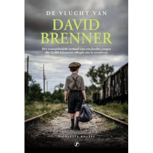 De Vlucht Van David Brenner - Nicolette Knobbe