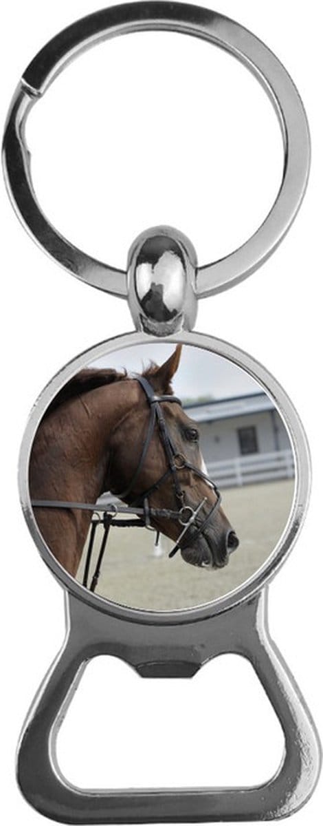 Bieropener Glas - Paard