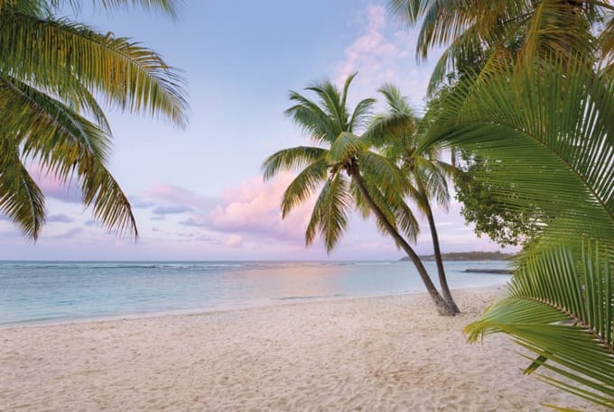 Komar Fotobehang Paradise Morning