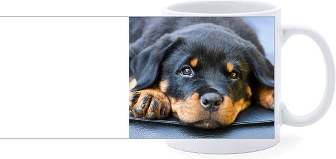 Beker - Rottweiler Hond Liggend
