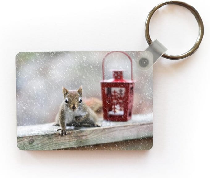 Sleutelhanger - Eekhoorn - Lantaarn - Sneeuwvlok - Winter - Uitdeelcadeautjes - Plastic