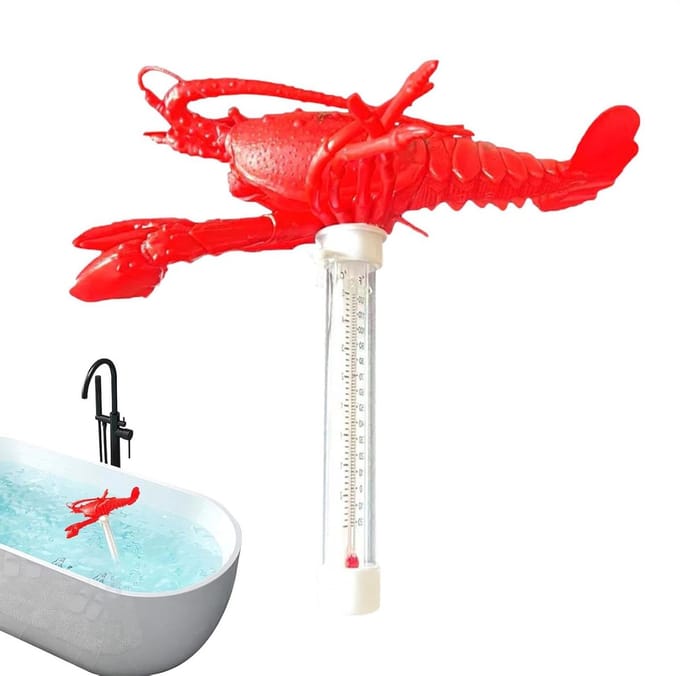 Digitale Thermometer - Watertemperatuurindicator - Zwembad Temperatuur - Innovatief Design - 20 Centimeter - Kreeft