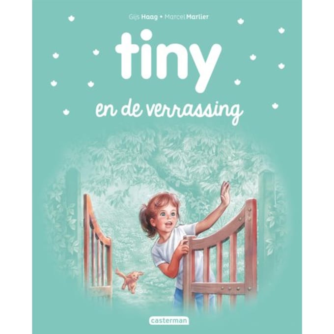 Tiny En De Verrassing - Tiny - Albums - Gijs Haag