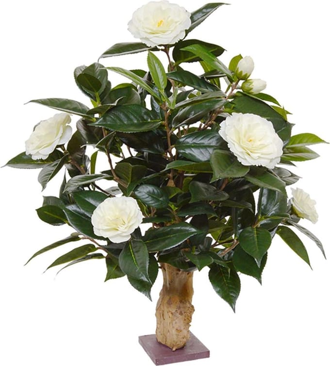 Camelia kunstplant op voet 60cm - creme