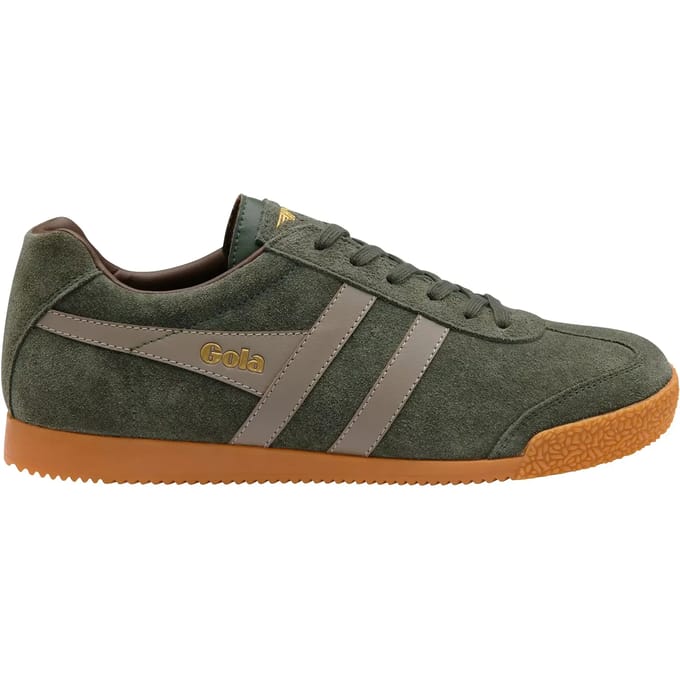 Baskets Gola Harrier