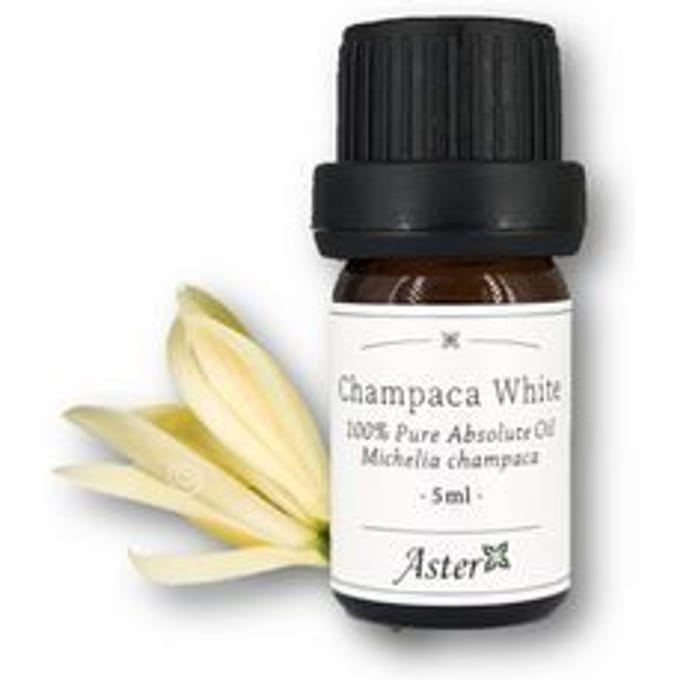 Aster Aroma - 100% Pure Absolute Oil Champaca White Michelia Champaca 5ml