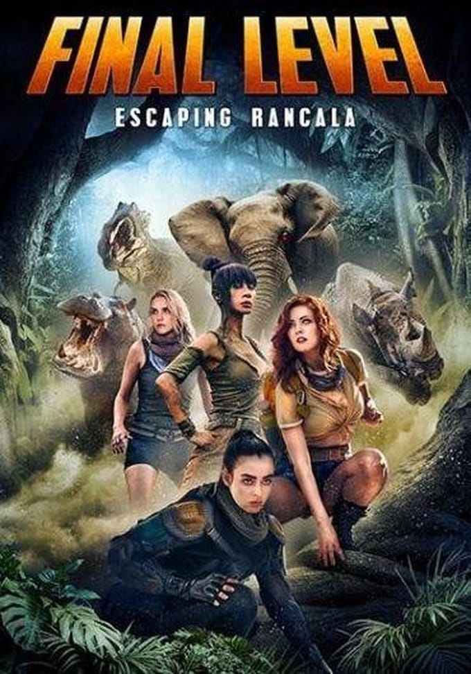 Final Level (DVD)