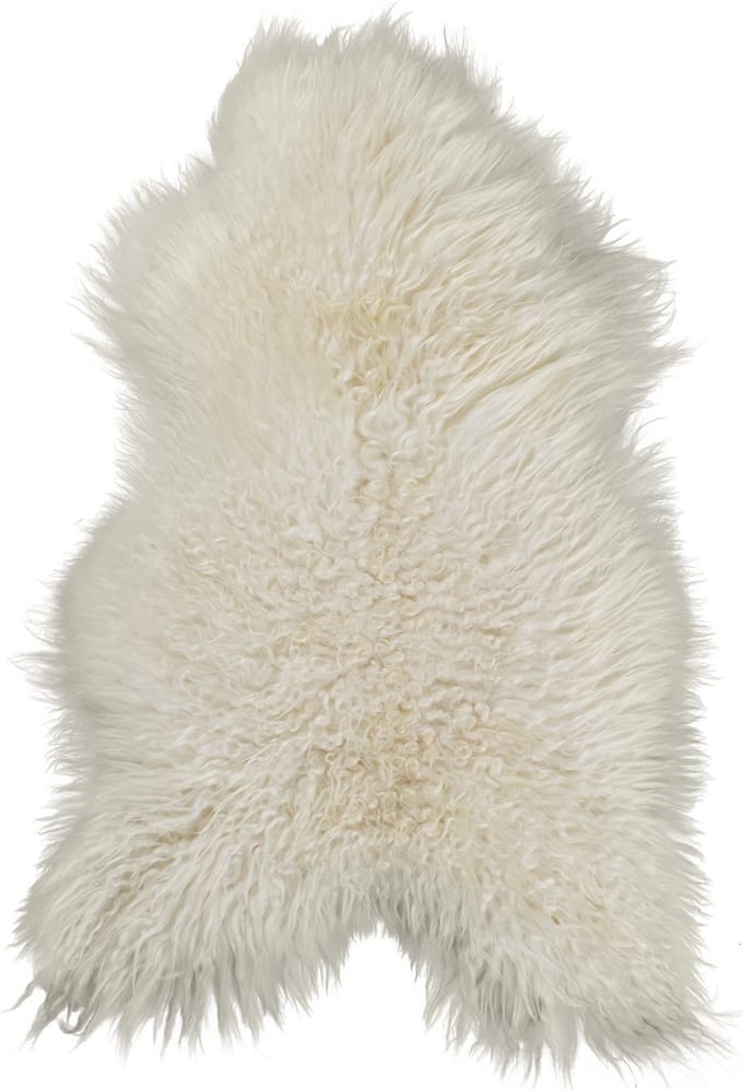 Van Buren - IJslands schapenvacht wit - 100% echte schapenvacht - XXL - Langharige wol