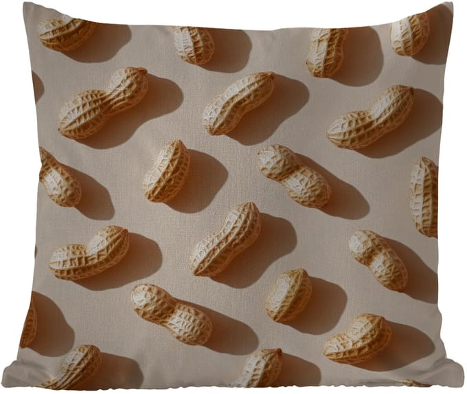 Tuinkussen - Pinda's - Patroon - Beige - 40x40 cm - Weerbestendig