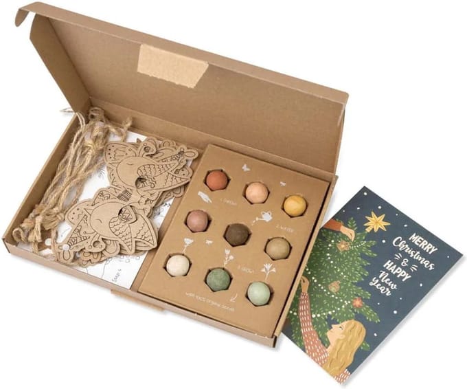 Blossombs Bloembommetjes Giftbox Large - DIY Slinger - 9 Zaadbommetjes - Xmas