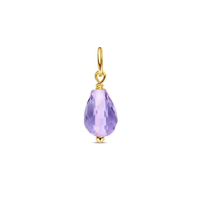 14K geelgoud hanger amethist 4030769