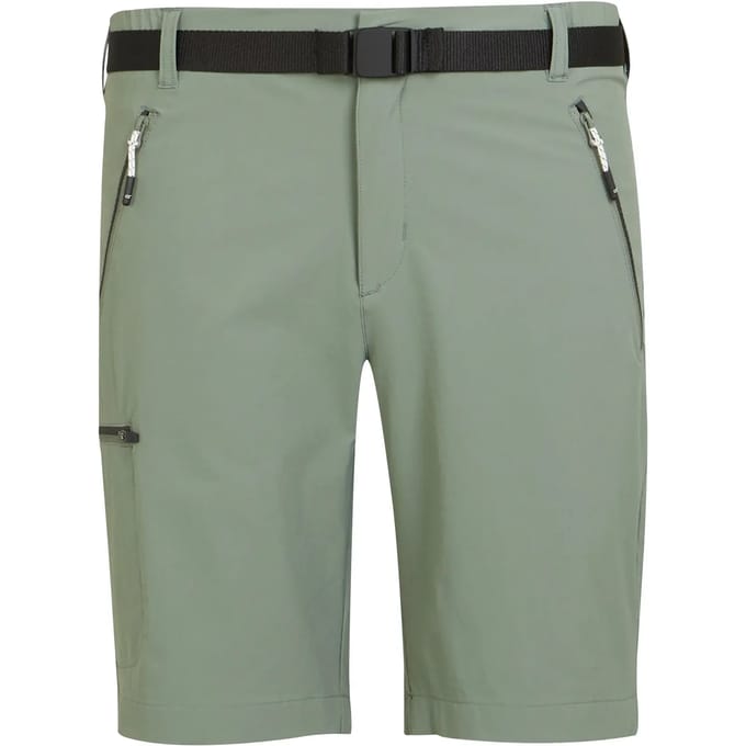 Regatta Xert Stretch Iii Korte Broek Groen 56 / Regular Man