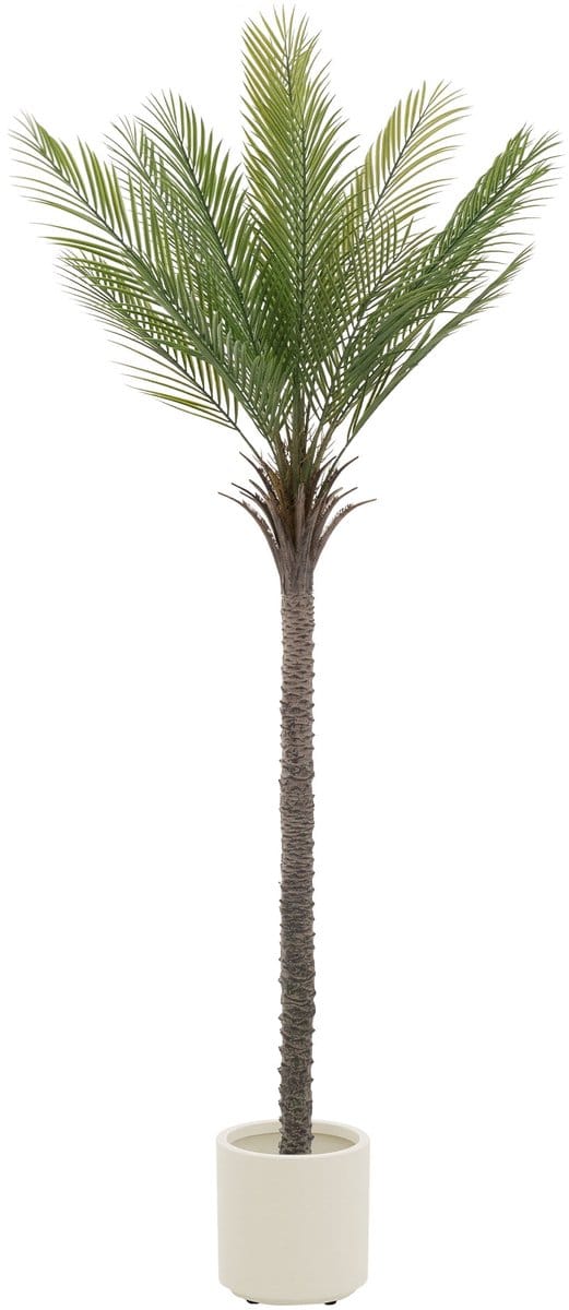 Kunstpalm 210 cm Tropische kunstpalm in pot ML design