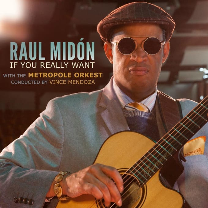 If You Really Want - Raul Midon