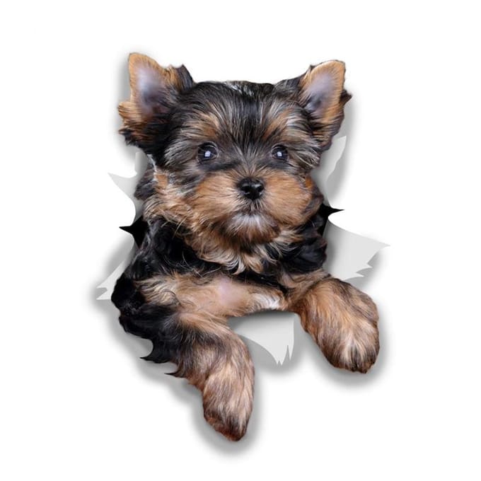 Vinyl Sticker Leuke Yorkshire Terriër Hond Auto Sticker Waterdicht Op Bumper Achterruit 12CM black