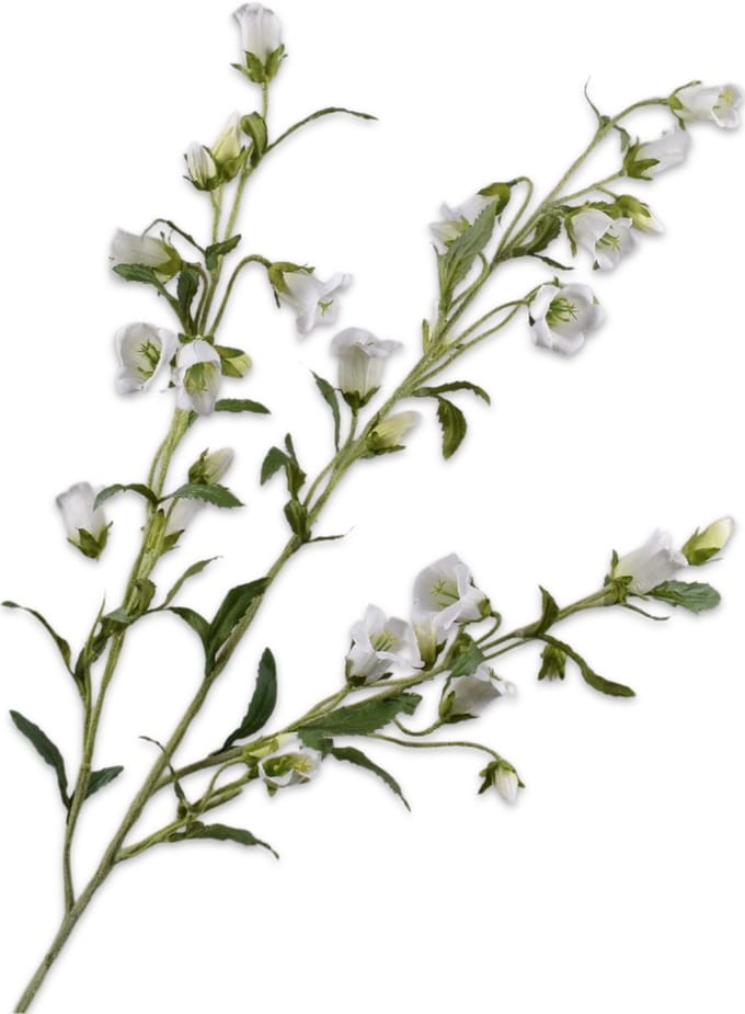Silk-ka Kunstbloem-Zijden Bloemen Campanula Tak Wit 112 cm