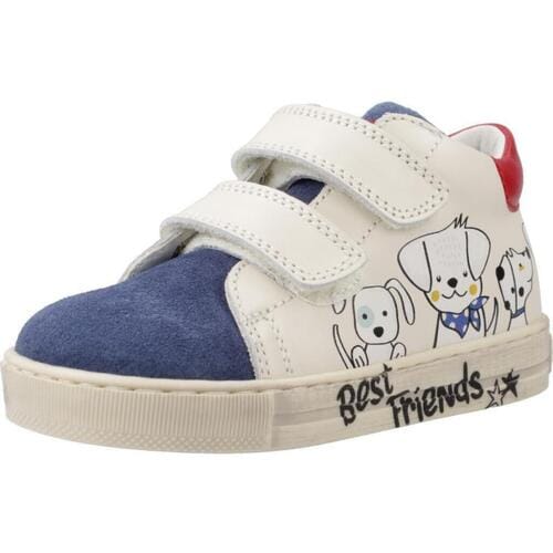 Lage Sneakers Falcotto Ciry Vl