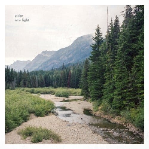 New Light - Gidge