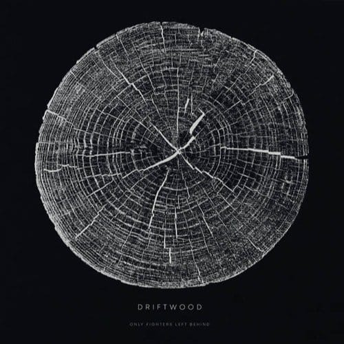 Only Fighters Left Behind - Driftwood