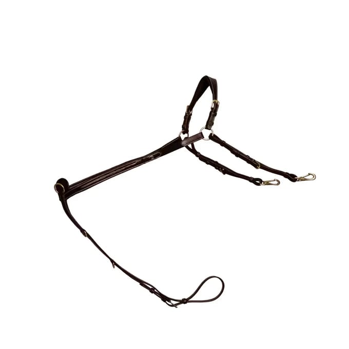 Jachthalsband voor brugpaard Dy'on