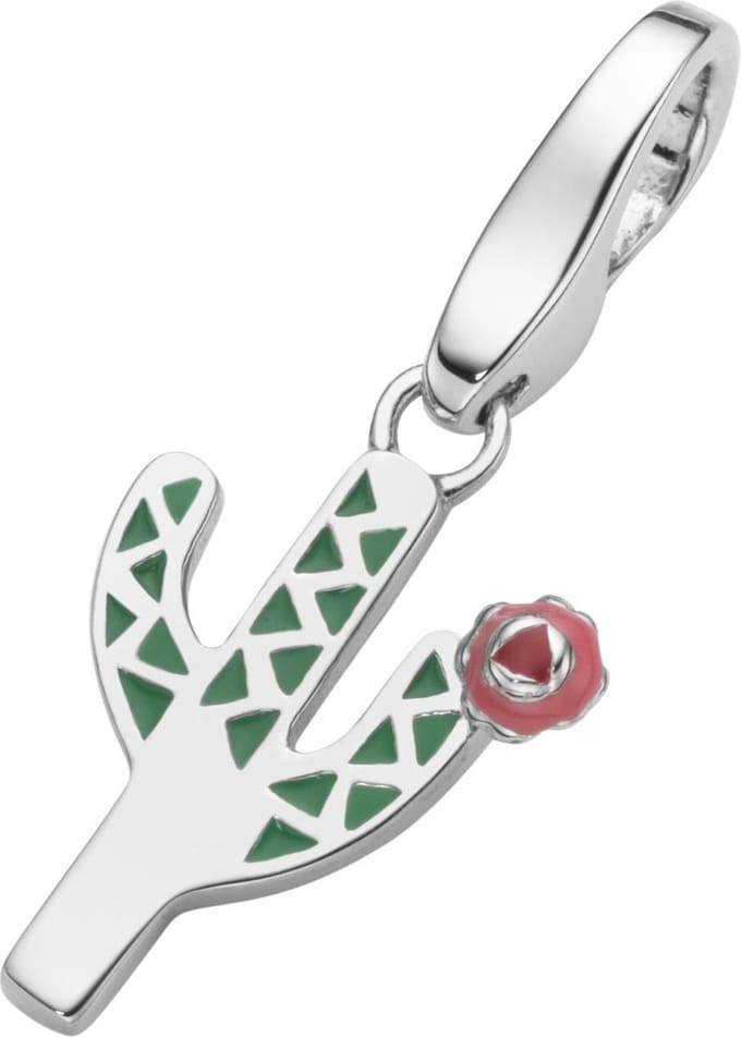 Bedel | charm | sterling zilver | kaktus | karabijn | hanger | kleur | emaille