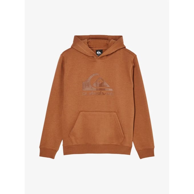 Quiksilver Comp Logo Hoodie Bruin 16 Years Jongen