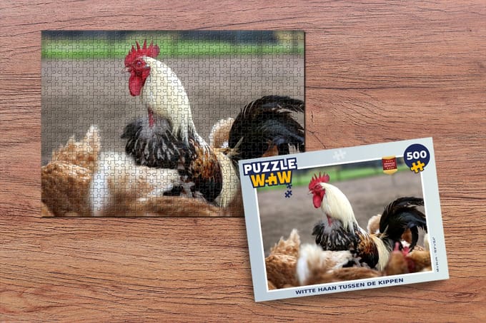 Puzzel Witte haan tussen de kippen - Legpuzzel - Puzzel 500 stukjes