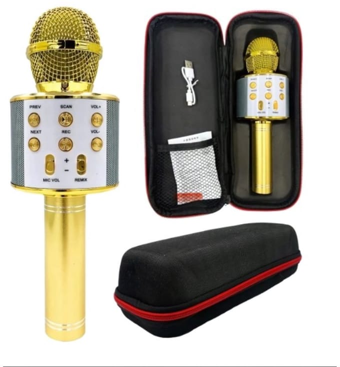 Draadloze Karaoke Microfoon met Bluetooth en Echo Effect - Speaker - USB - met Opbergcase - Goud