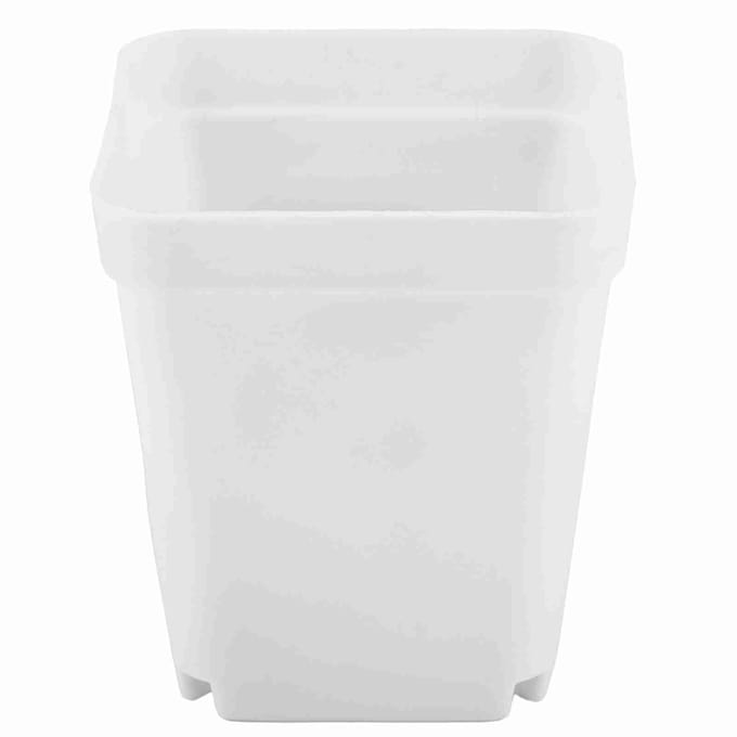 20 stuks Mini Moderne Succulenten Plantenpotjes Kleine plastic Containers, Scrub vierkante Potjes(Wit) White white