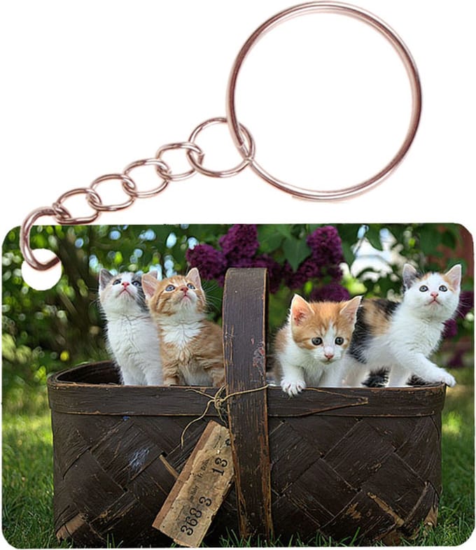 Sleutelhanger 6x4cm - Mand met Kittens