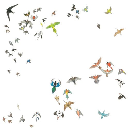 Modern Nature - No Fixed Point In Space (CD)
