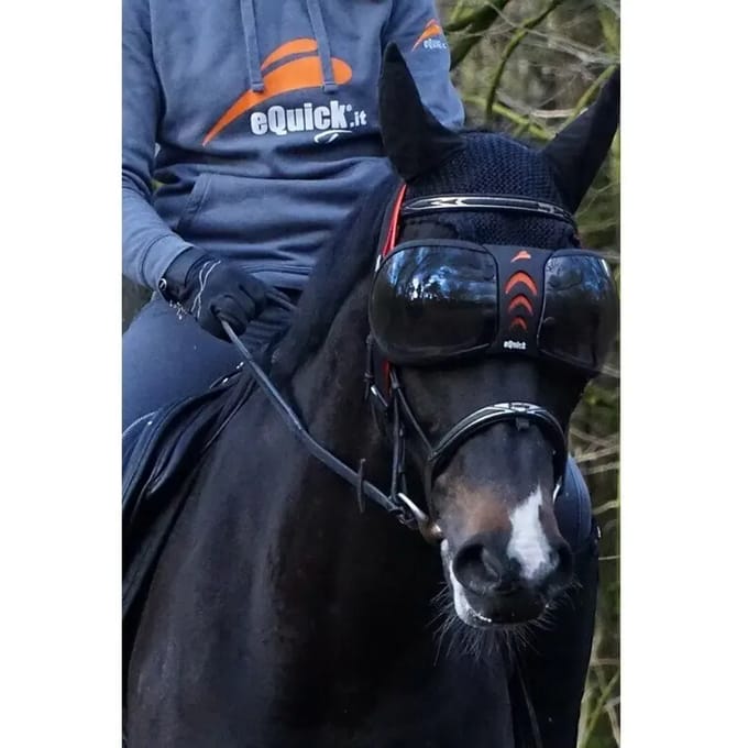 eQuick eVysor UV-paardenbril voor rijden - Zwart