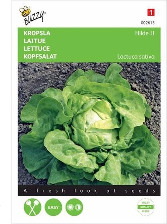Buzzy Zaden - Kropsla Hilde -  Lactuca sativa
