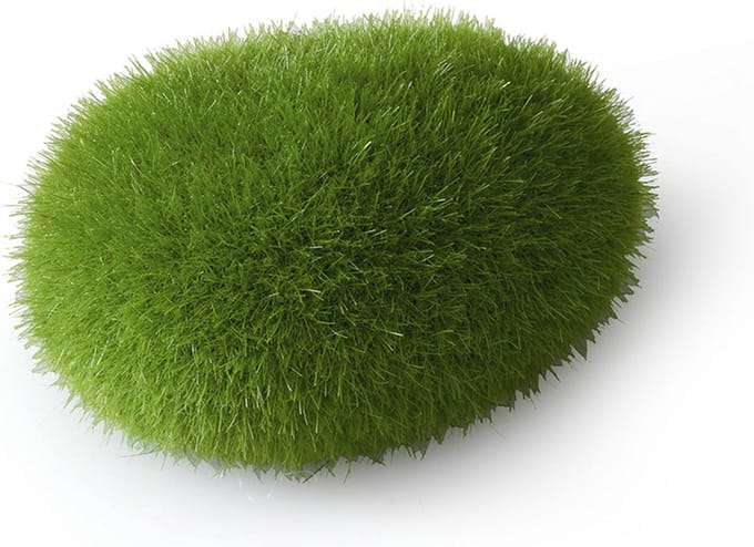 Aqua Della - Aquariumdecoratie - Vissen - Mos Bal S - 6x4,5x3,5cm - 1st