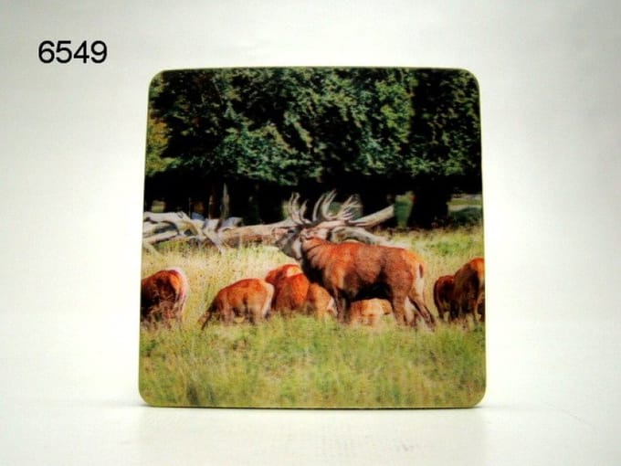 3D Onderzetter - Edelhert - 8,5 x 8,5 cm - Diepte Effect - Per Stuk