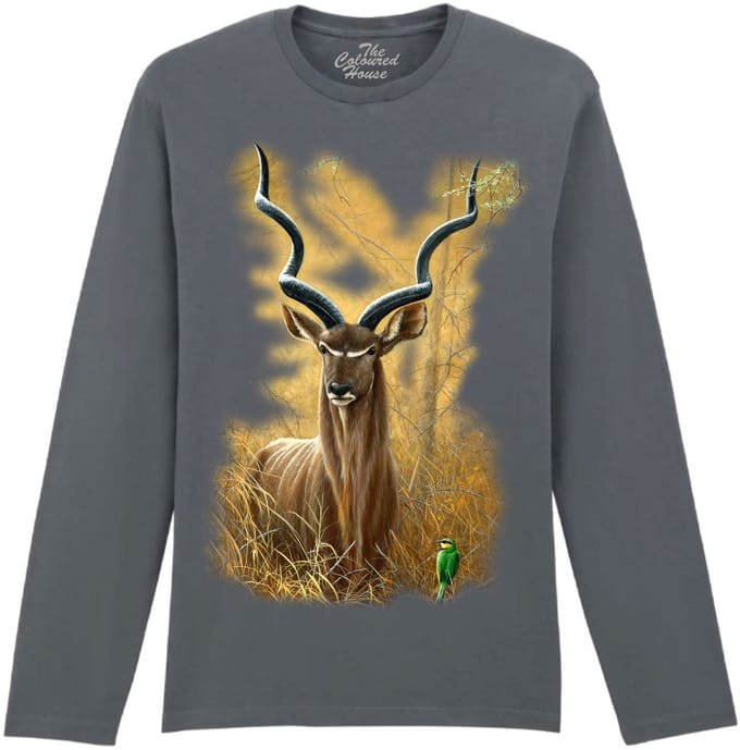 Kudu The Coloured House Longsleeve T-shirt S