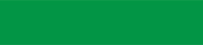 Vlag Monnickendam 70x100cm