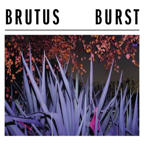 Burst - Brutus