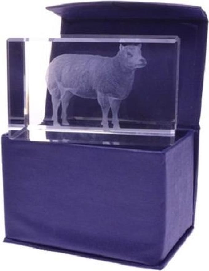3D Laser Gravure Schaap – Glasblokje – 8 x 5 x 5 cm – Cadeau met Geschenkdoos