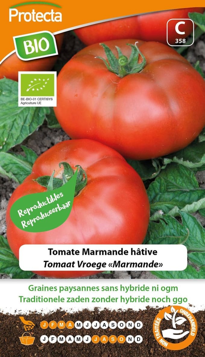 Protecta Groente zaden: Tomaat Vroege Marmande