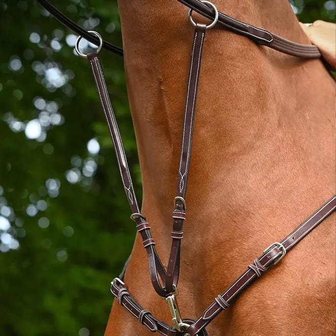 Martingale voor halsband paard Jump'In Monday et Tuesday