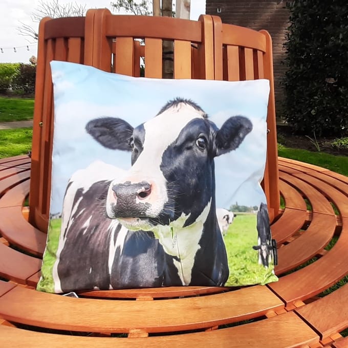 Buitenkussen- tuinkussen koe 45x45 cm - koeien - zwartbont