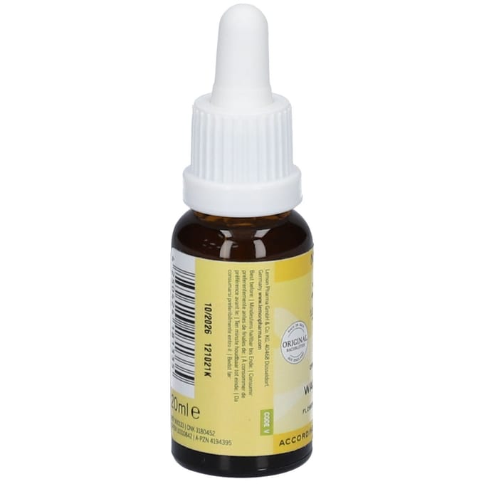 Bach Bloesem Bach bloesemremedies walnut bio 20 Milliliter