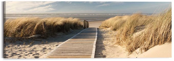 Schilderij Duinen - 40 x 118 - Hout - REINDERS