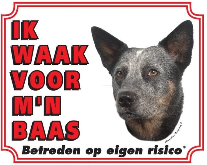 Australian Cattle Dog Waakbord - Ik waak voor mijn
