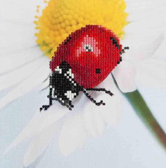 Diamond Dotz® Daisy Lady - Diamond Painting (25x25 cm)