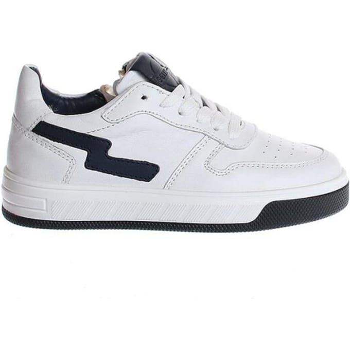Gattino G1618