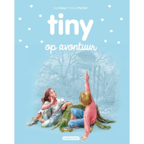 Tiny Op Avontuur - Tiny Nieuwe Stijl - Gijs Haag